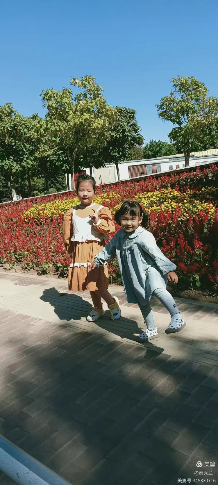 我的小月月茁壮成长。